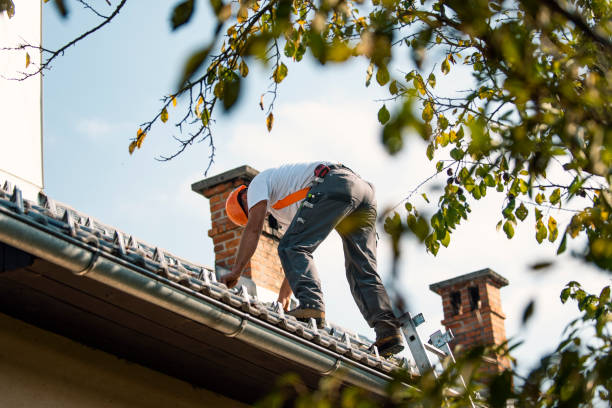 Roof Gutter Cleaning in Haiku Pauwela, HI